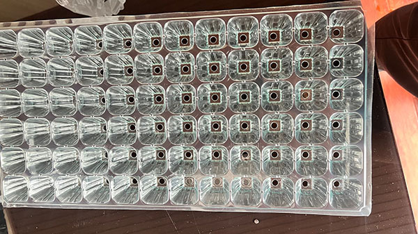 春水堂视频APP下载育苗盘片材
