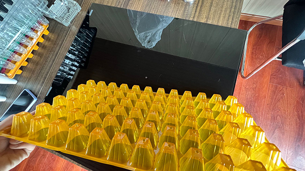 山东春水堂视频APP下载片材